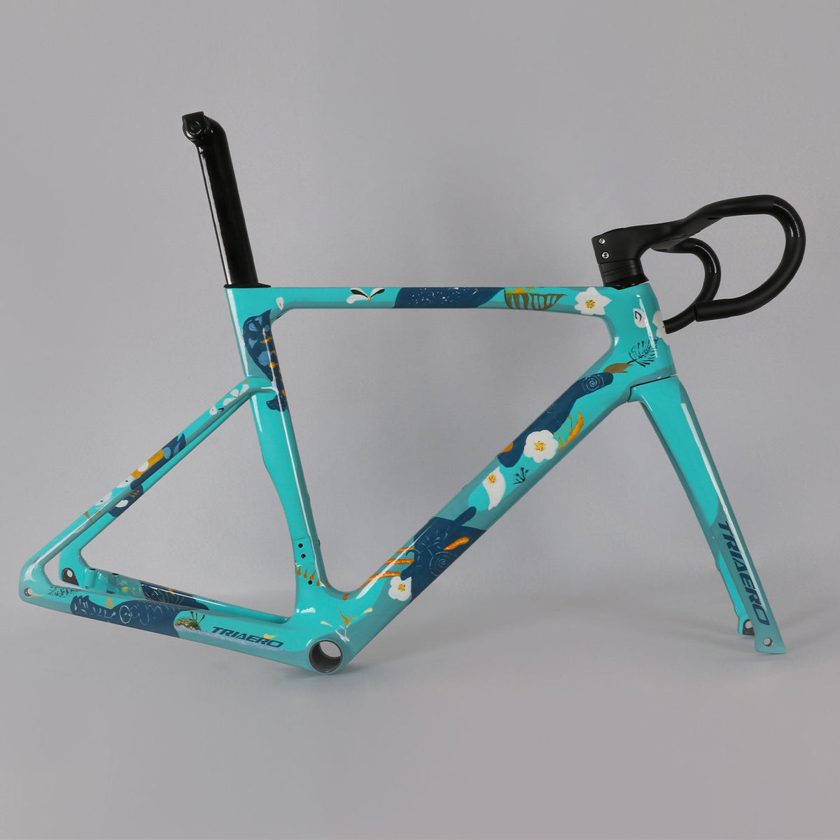 ICAN A9 UCI ROAD BIKE DISC FRAME