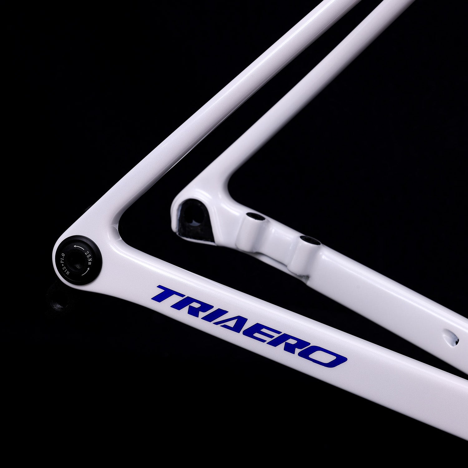 ICAN UCI ROAD BIKE DISC FRAME FLYEE